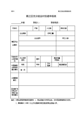 关于金联公司劳务派遣业务在2010年全区再就业与岗位开发中的实践分析